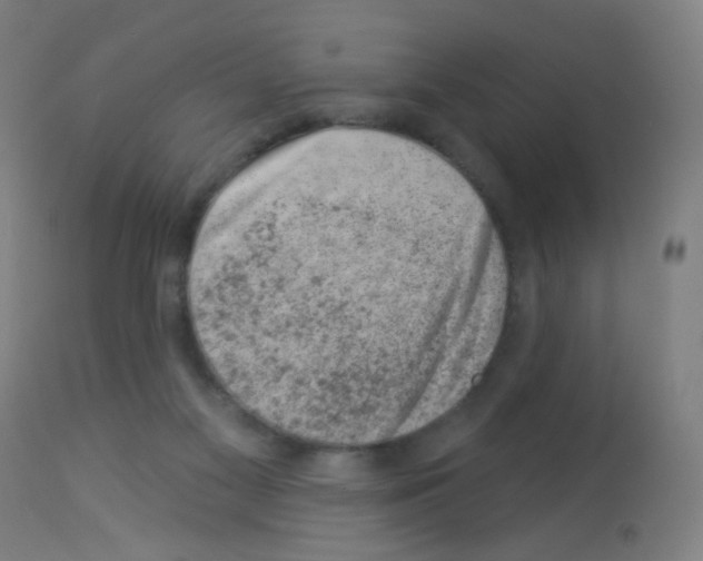 X0000113000117200910081208