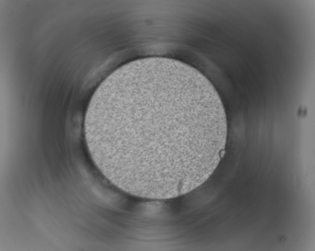 X0000113000118200910081208