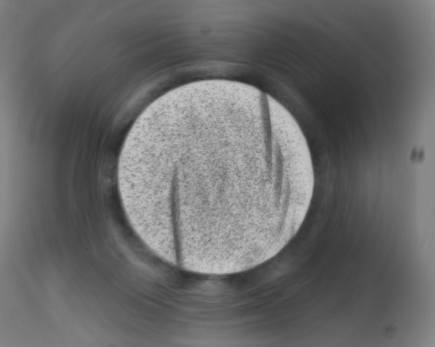 X0000113000119200910081208