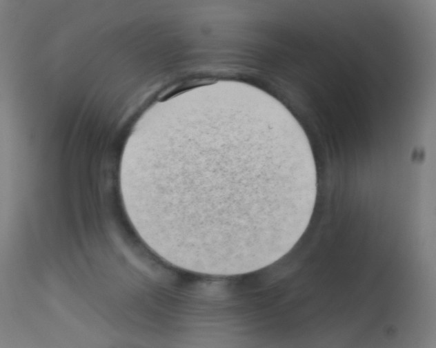 X0000113000120200910081208