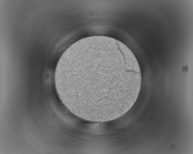 X0000113000122200910081208