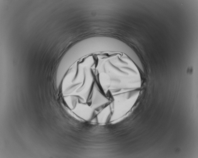 X0000113000123200910081208