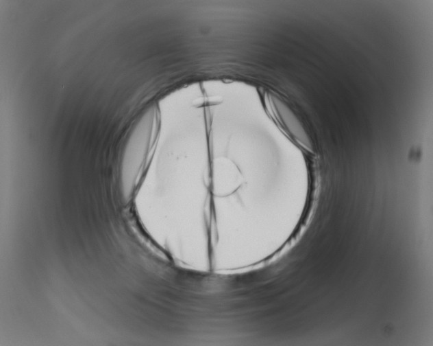 X0000113000124200910081208