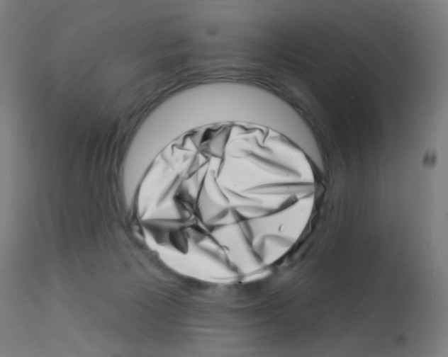 X0000113000125200910081208