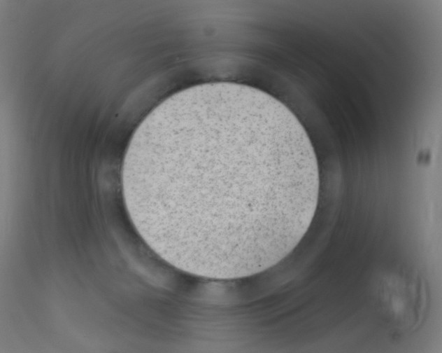 X0000113000126200910081208