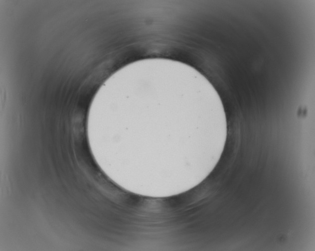 X0000113000127200910081208