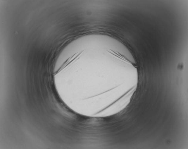 X0000113000128200910081208