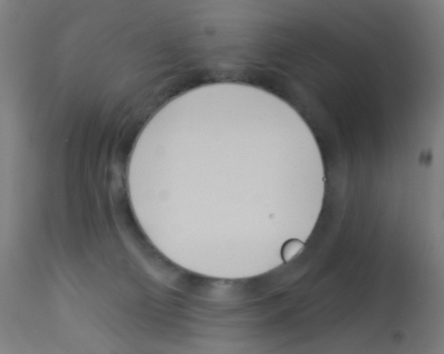 X0000113000130200910081208