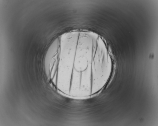 X0000113000133200910081208