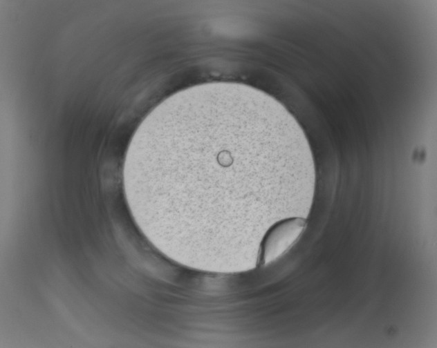 X0000113000134200910081208