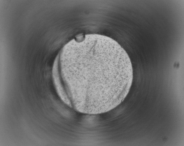 X0000113000135200910081208