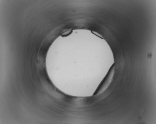 X0000113000136200910081208