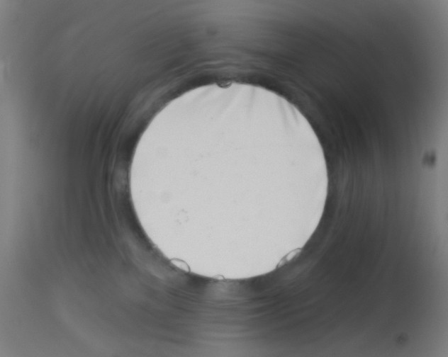 X0000113000137200910081208