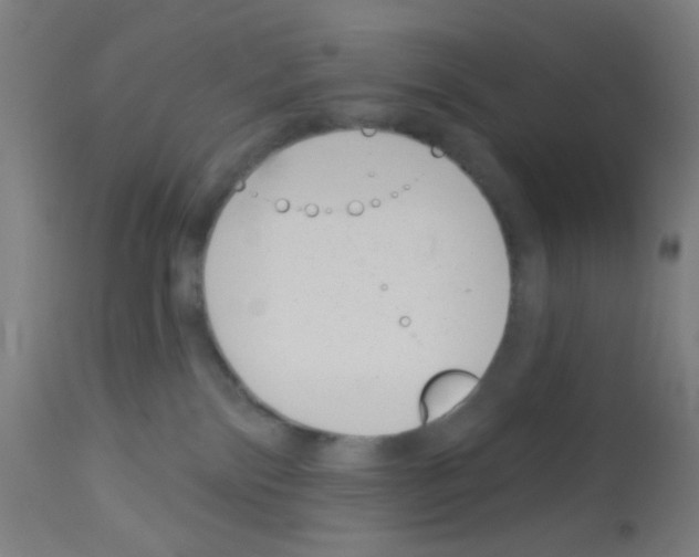 X0000113000138200910081208