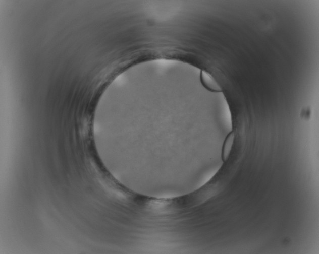 X0000113000139200910081208