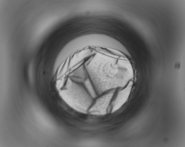 X0000113000140200910081208