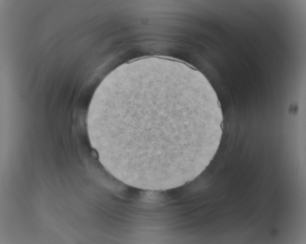 X0000113000141200910081208