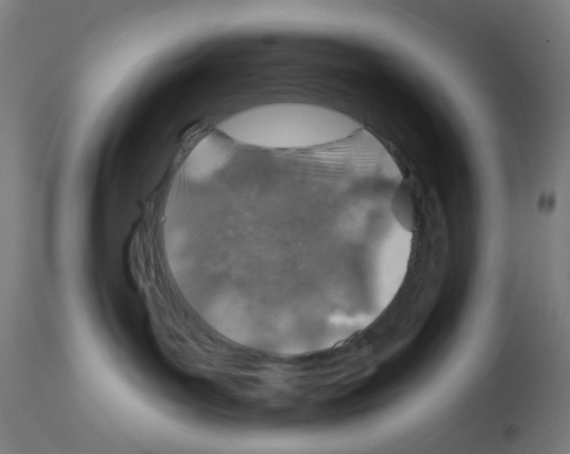 X0000113000143200910081208