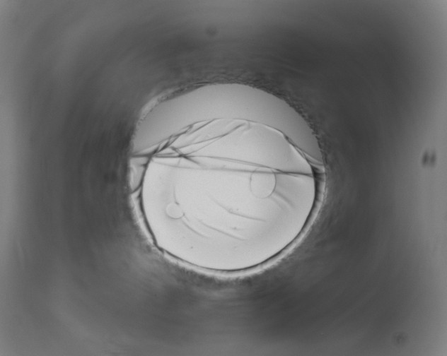 X0000113000144200910081208