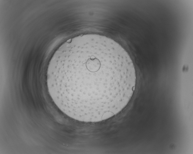 X0000113000145200910081206