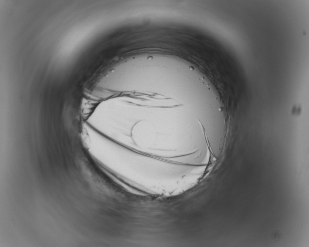 X0000113000146200910081206