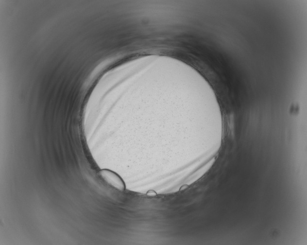 X0000113000147200910081206