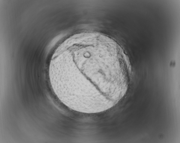 X0000113000149200910081207