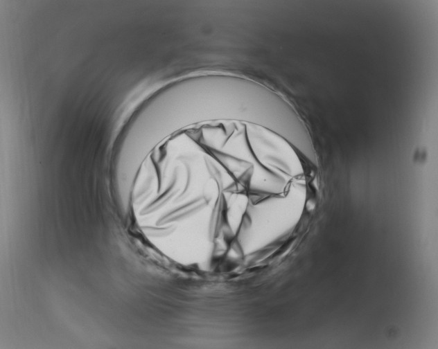 X0000113000152200910081207