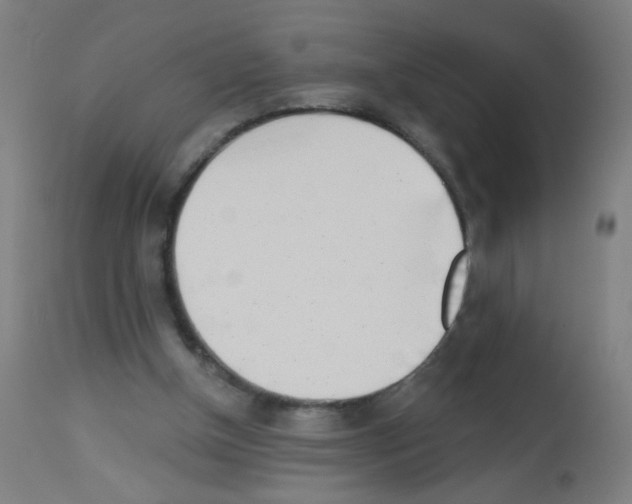 X0000113000154200910081207