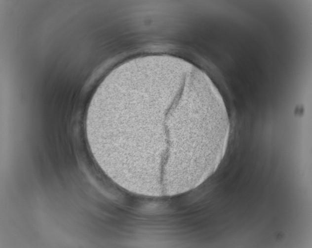 X0000113000155200910081207