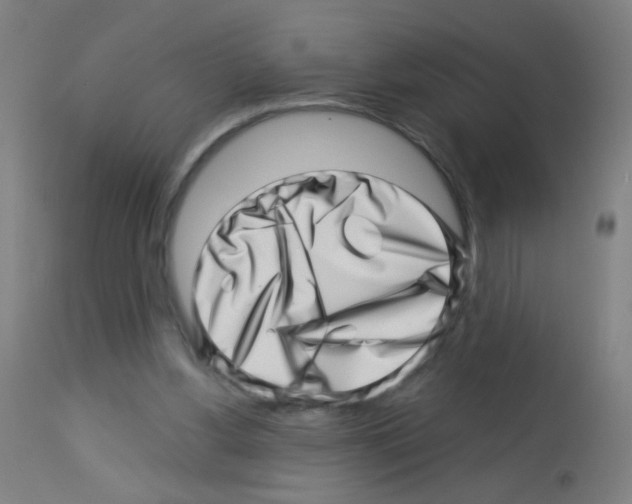 X0000113000156200910081207