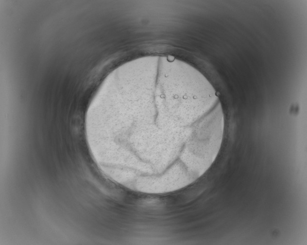 X0000113000161200910081207