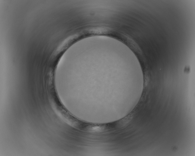 X0000113000163200910081207