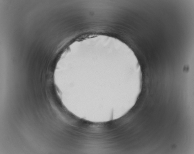 X0000113000164200910081207