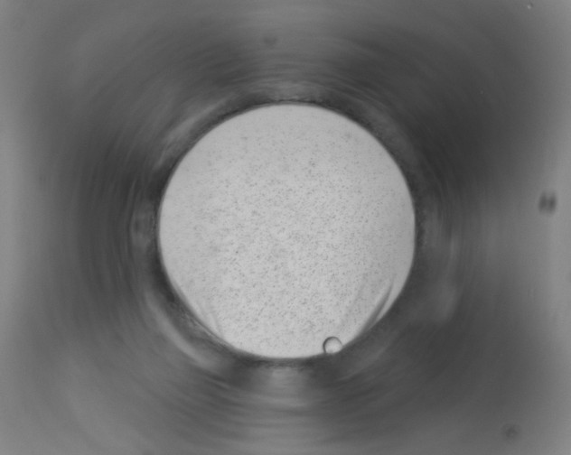 X0000113000165200910081207