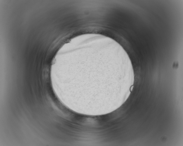 X0000113000166200910081207