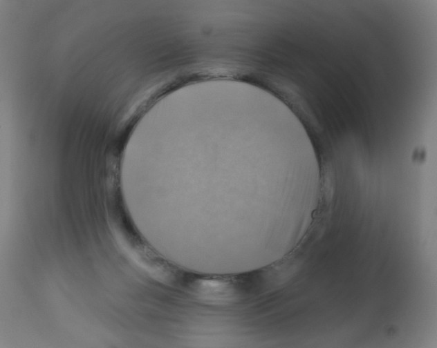 X0000113000167200910081207