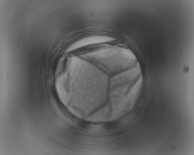 X0000113000170200910081207