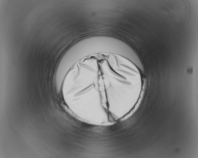 X0000113000172200910081207