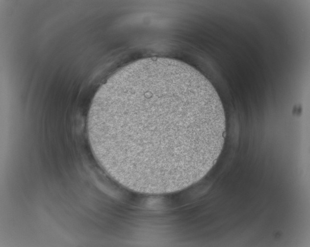 X0000113000173200910081207