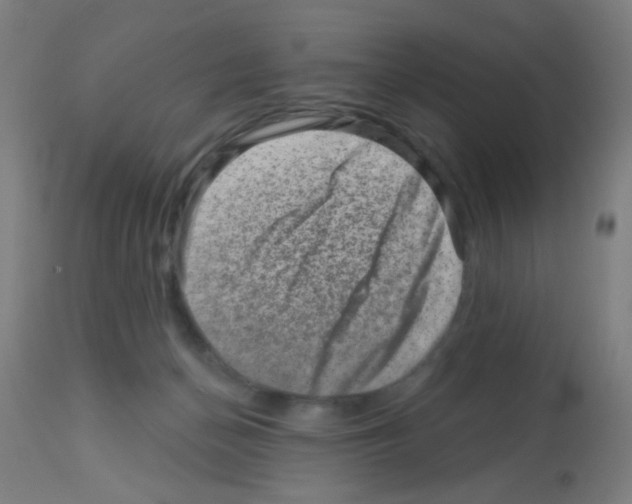 X0000113000174200910081207