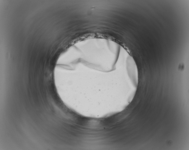 X0000113000176200910081207