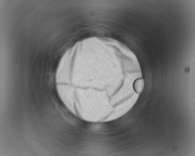 X0000113000177200910081207