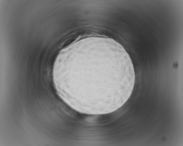 X0000113000178200910081207