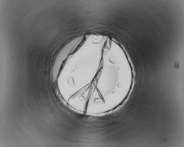 X0000113000180200910081207