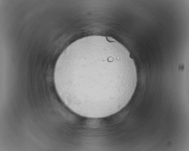 X0000113000181200910081207