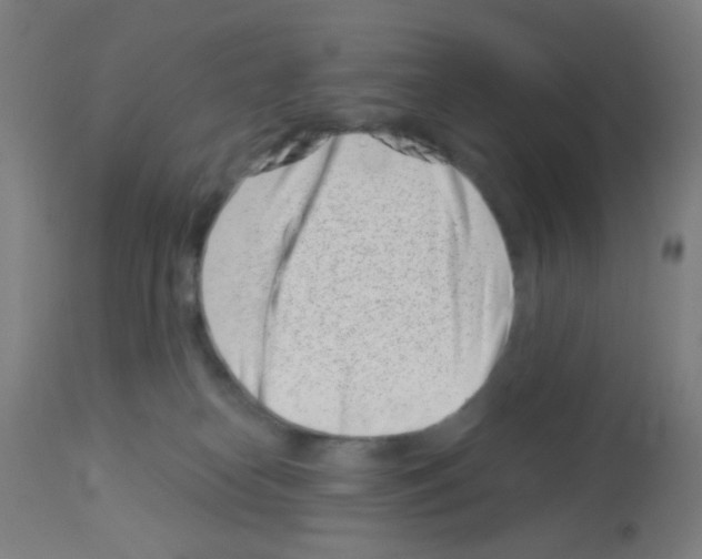 X0000113000182200910081207