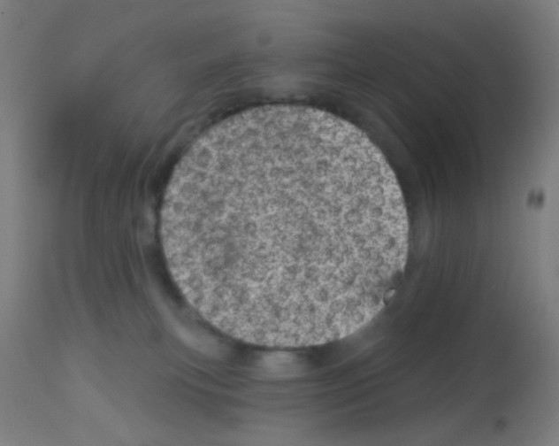 X0000113000183200910081207