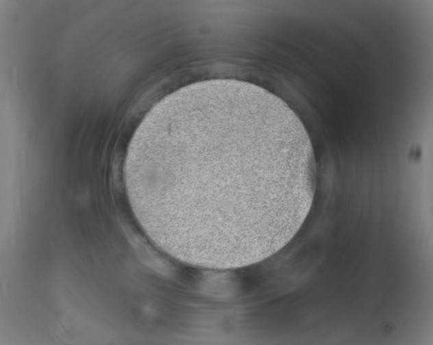 X0000113000185200910081207