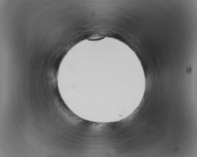 X0000113000186200910081207